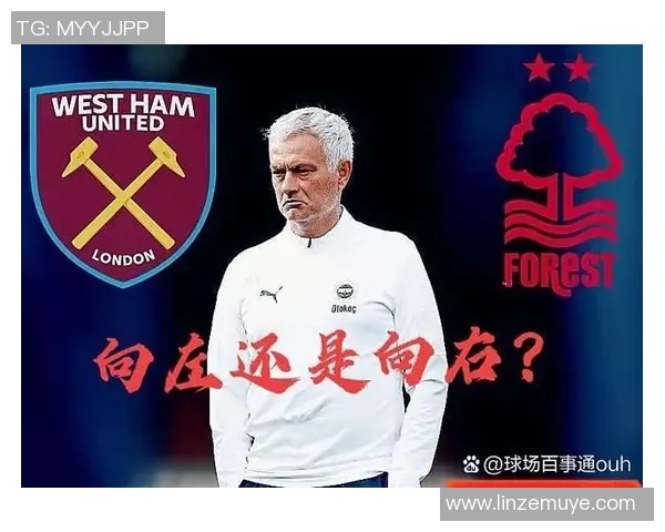 从球场到教练席足球明星转型背后的心路历程与挑战