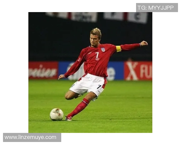 足球场上的璀璨星光：探秘足球明星背后的奋斗与荣耀