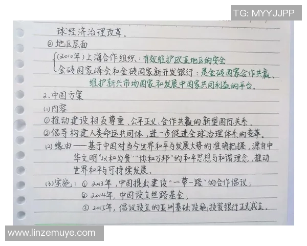 张帆：在时代潮流中追寻梦想与坚持的旅程